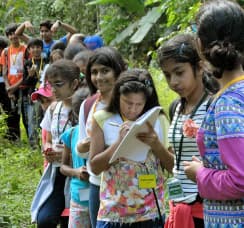 Field Trips Field Trips