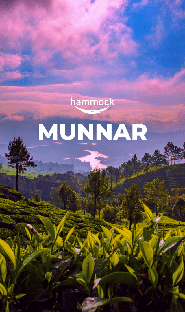 A Trip to Munnar - The land of romance and rain