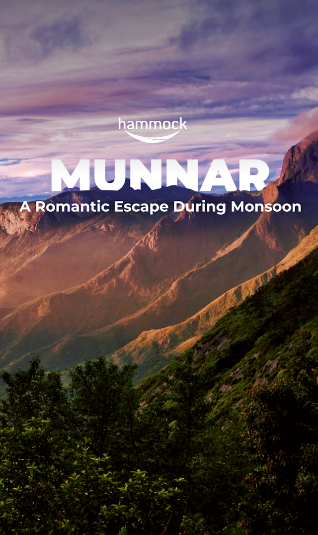 Experience romance in Munnar with our monsoon package